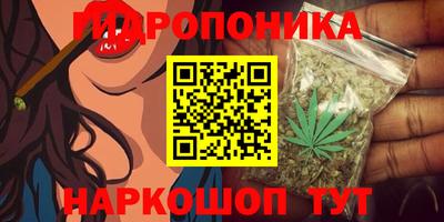 дмт Лесосибирск
