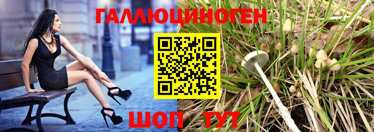 Псилоцибиновые грибы Psilocybe Электрогорск