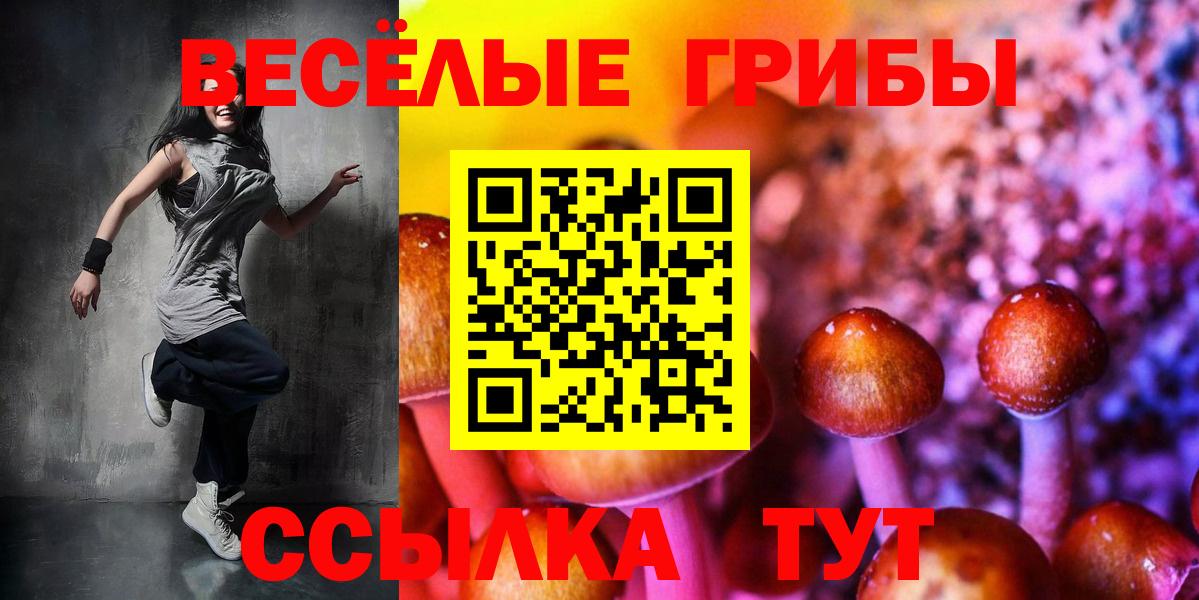 Электрогорск  Галлюциногенные грибы Psilocybine cubensis  купить закладку  Вход с VPN 
